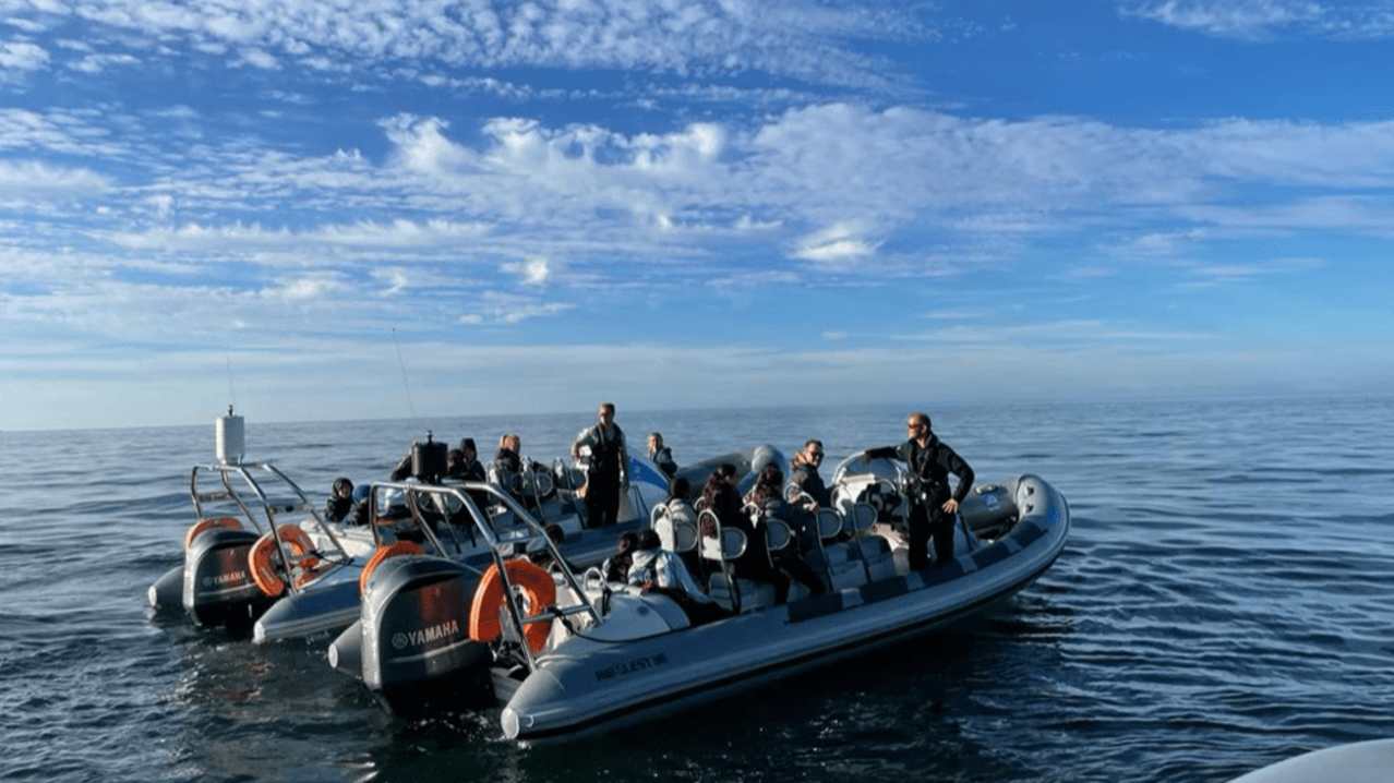 Ribride Adventure Boat Tours - Featured Image - 3 Ribride Adventure Boat Tours - Featured Image - 3
