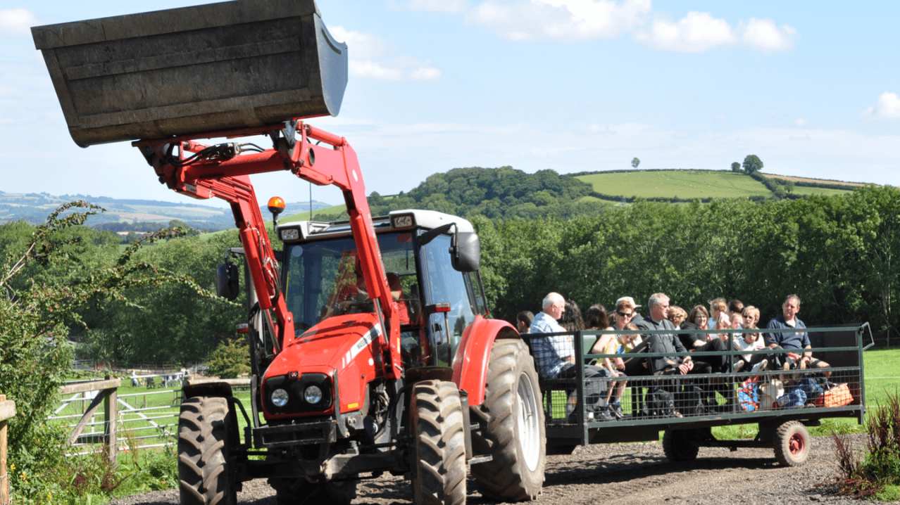 Pennywell Farm - Featured Image - 9 Pennywell Farm - Featured Image - 9