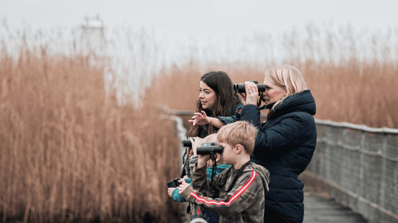 RSPB Newport Wetlands - Featured Image - 2 RSPB Newport Wetlands - Featured Image - 2