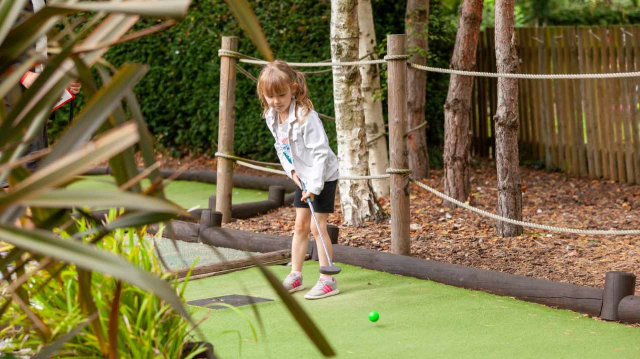 Dino Golf, Spalding - Featured Image - 3 Dino Golf, Spalding - Featured Image - 3