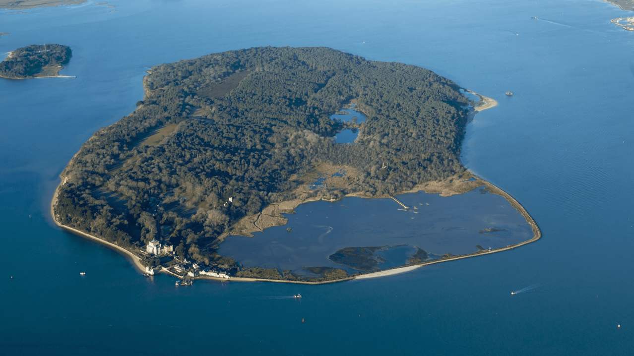 Brownsea Island - Featured Image - 1 Brownsea Island - Featured Image - 1