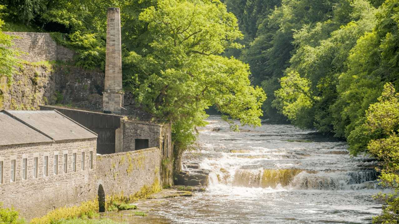 Falls of Clyde Wildlife Reserve - Featured Image - 1