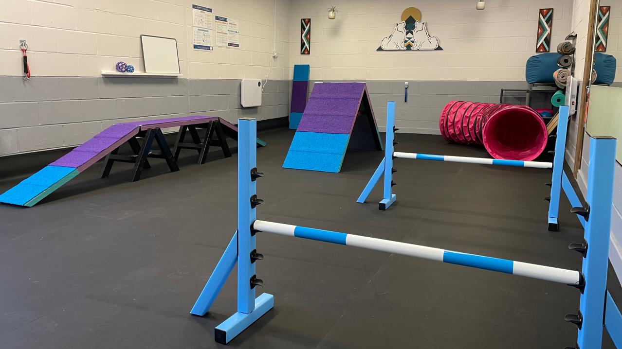 Peak Performance Dog Gym, Play and Training - Featured Image - 1 Peak Performance Dog Gym, Play and Training - Featured Image - 1
