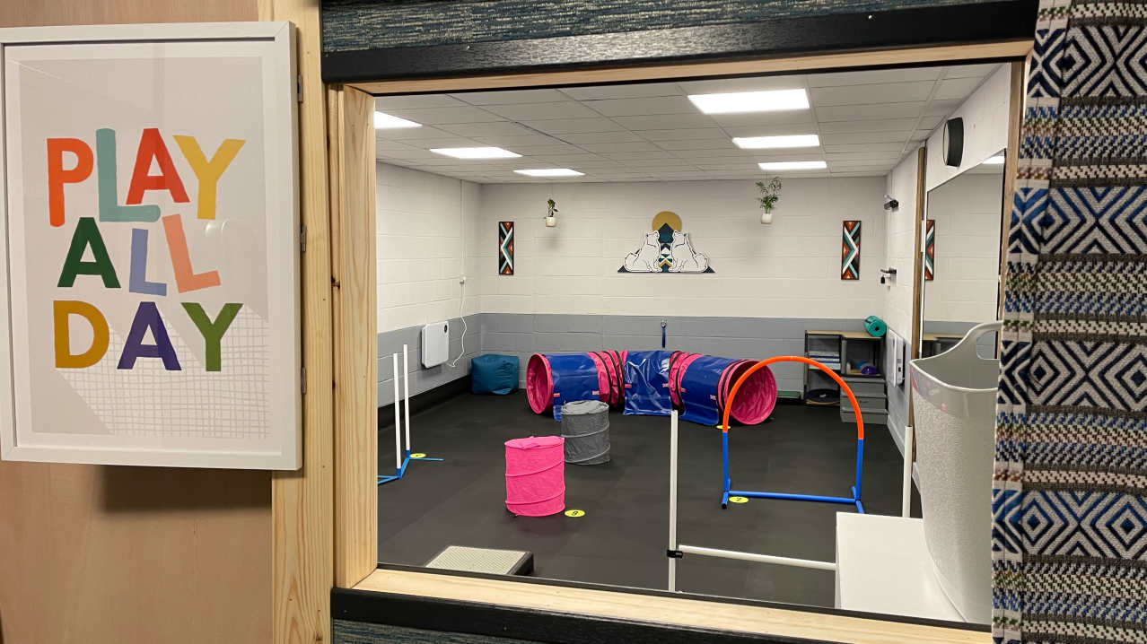 Peak Performance Dog Gym, Play and Training - Featured Image - 2 Peak Performance Dog Gym, Play and Training - Featured Image - 2