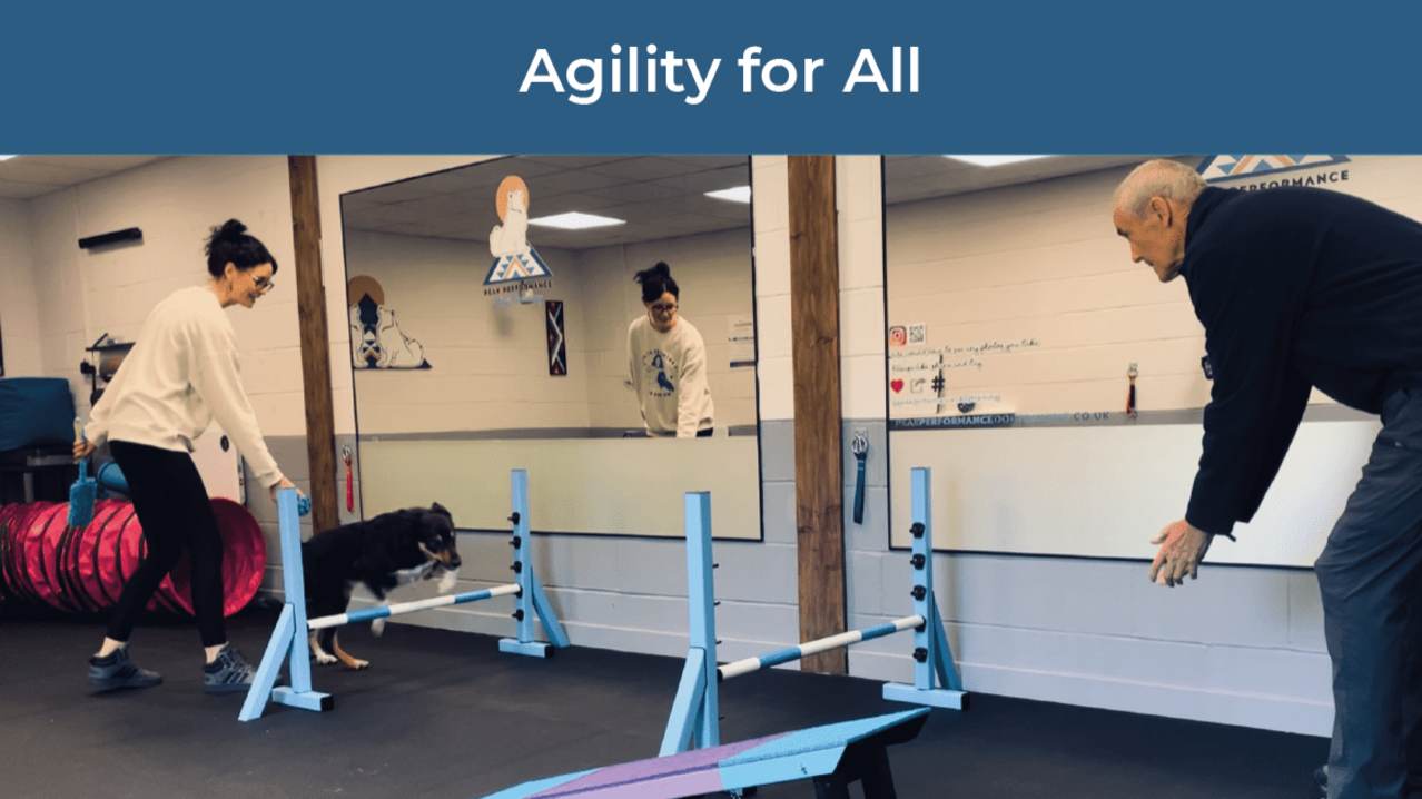 Peak Performance Dog Gym, Play and Training - Featured Image - 3 Peak Performance Dog Gym, Play and Training - Featured Image - 3