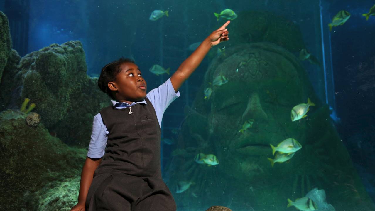 SEA LIFE Manchester - Featured Image - 9 SEA LIFE Manchester - Featured Image - 9