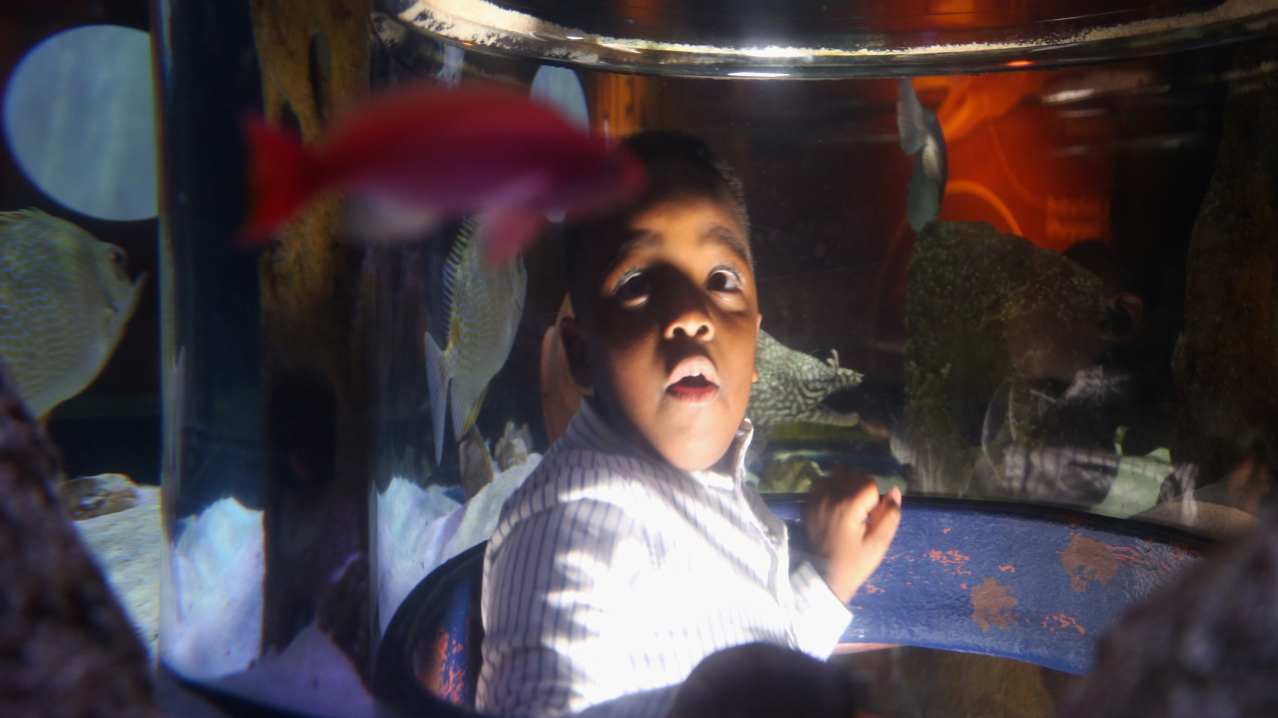 SEA LIFE Manchester - Featured Image - 10 SEA LIFE Manchester - Featured Image - 10