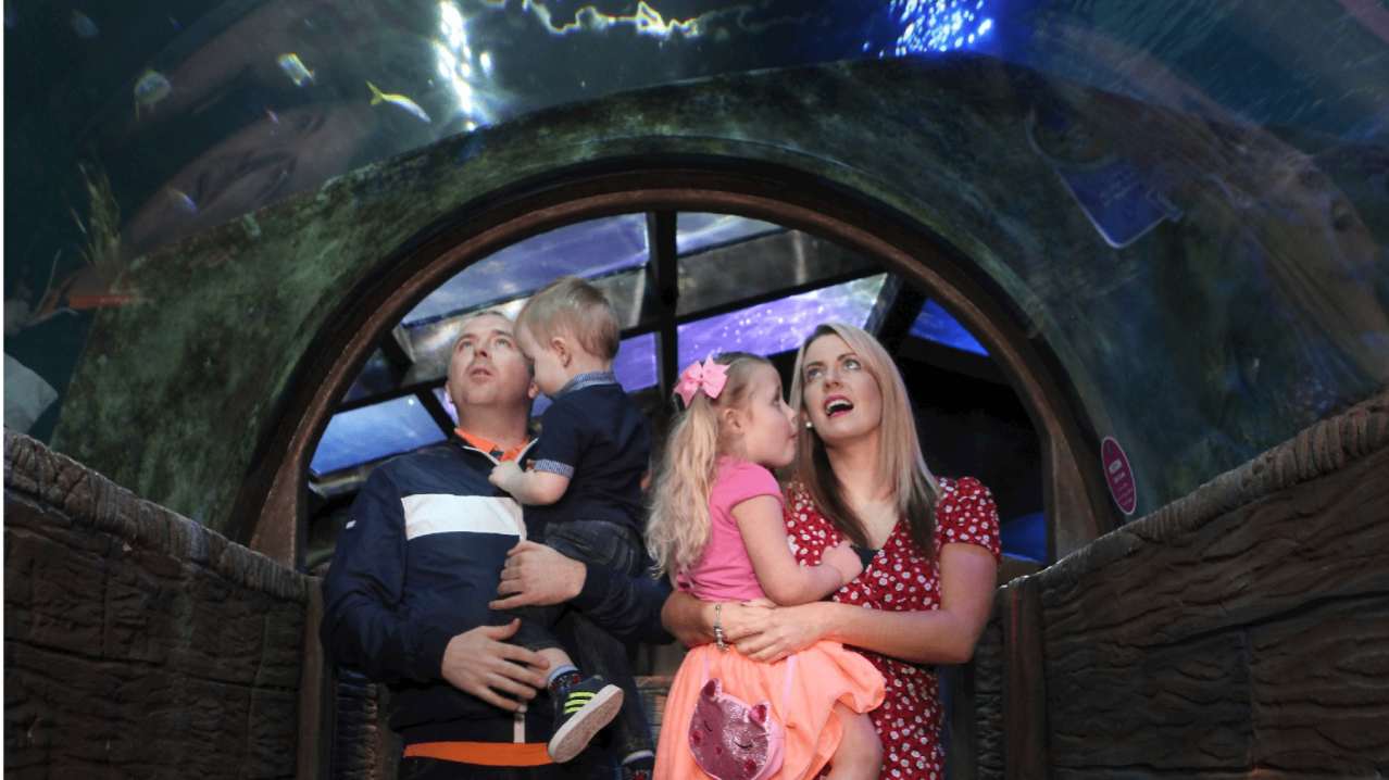 SEA LIFE Blackpool - Featured Image - 11 SEA LIFE Blackpool - Featured Image - 11