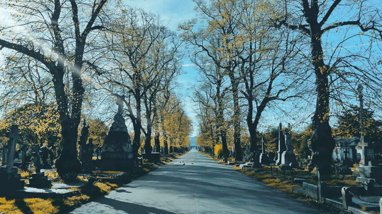 Brompton Cemetery London - Featured Image - 2