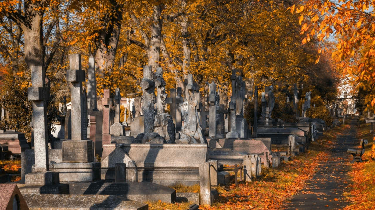 Brompton Cemetery London - Featured Image - 3