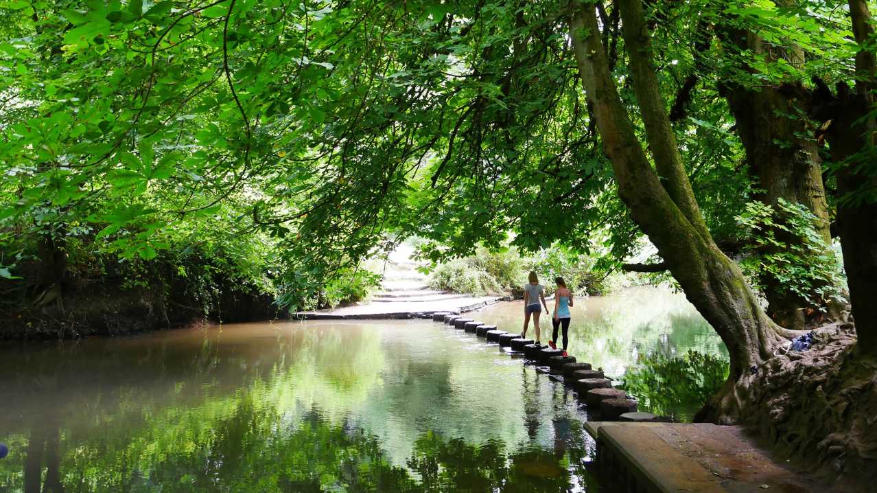 Box Hill - Featured Image - 1