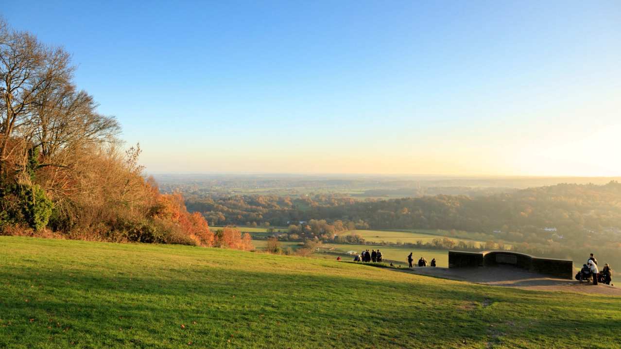 Box Hill - Featured Image - 2