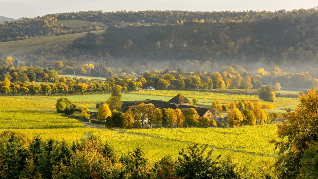 Denbies Wine Estate - Featured Image - 1