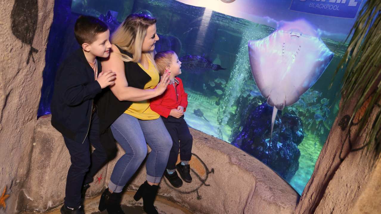 SEA LIFE Blackpool - Featured Image - 5 SEA LIFE Blackpool - Featured Image - 5