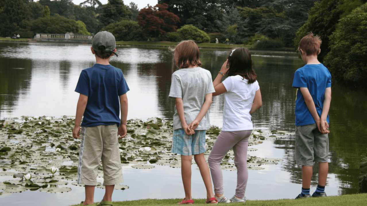 Sheffield Park and Garden - National Trust - Featured Image - 10 Sheffield Park and Garden - National Trust - Featured Image - 10