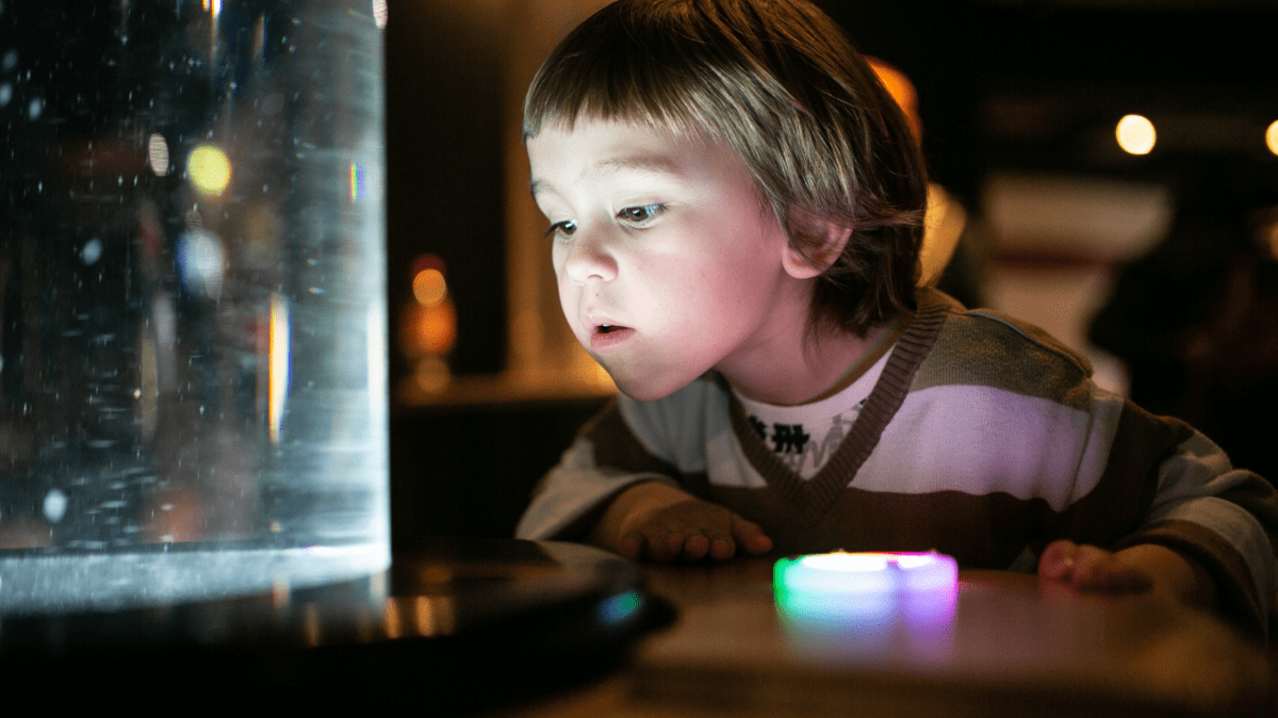 We The Curious - Featured Image - 7