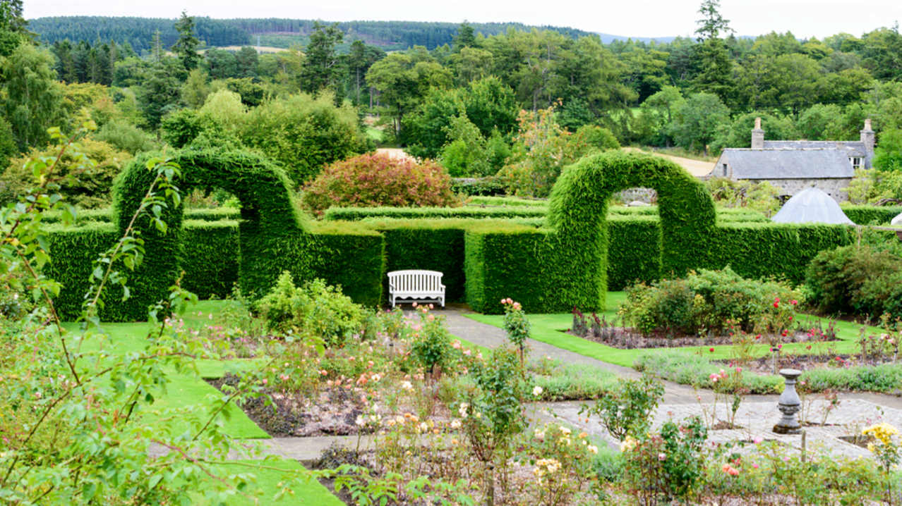 Drum Castle- Garden and Estate Aberdeen - Featured Image - 2 Drum Castle- Garden and Estate Aberdeen - Featured Image - 2