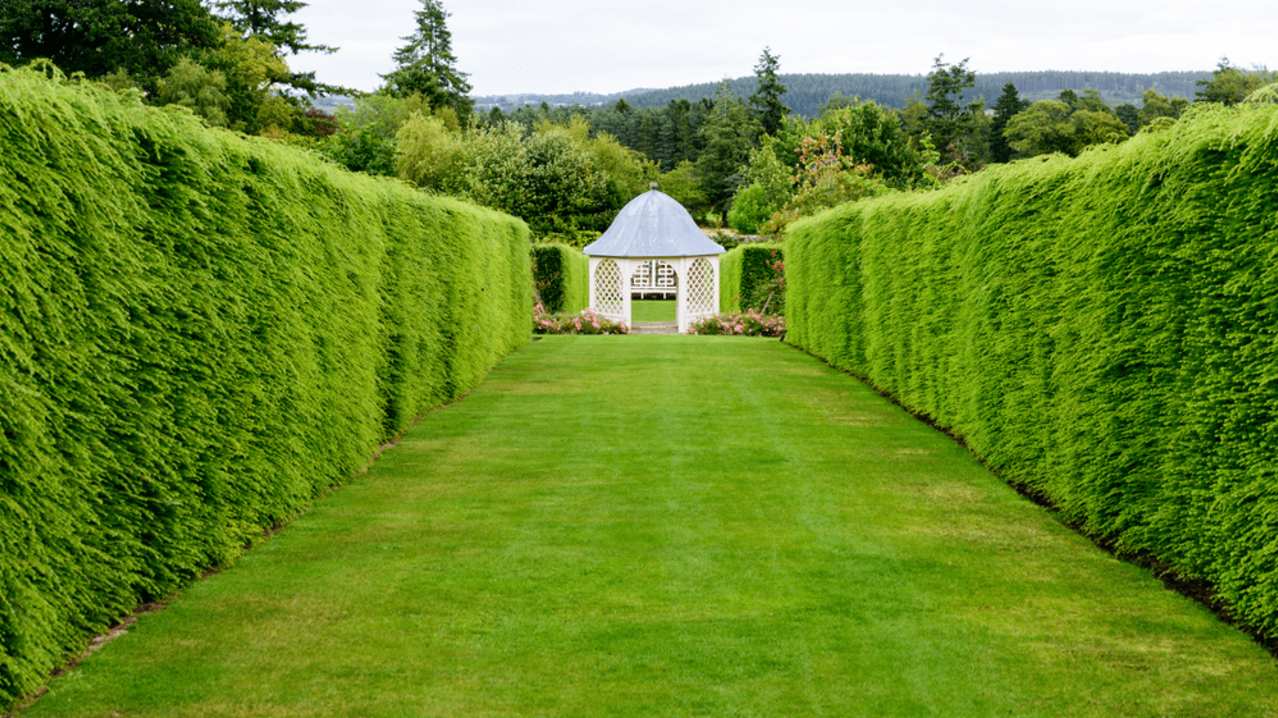Drum Castle- Garden and Estate Aberdeen - Featured Image - 3 Drum Castle- Garden and Estate Aberdeen - Featured Image - 3