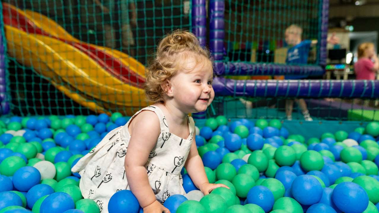 The Web Adventure Park - Featured Image - 2