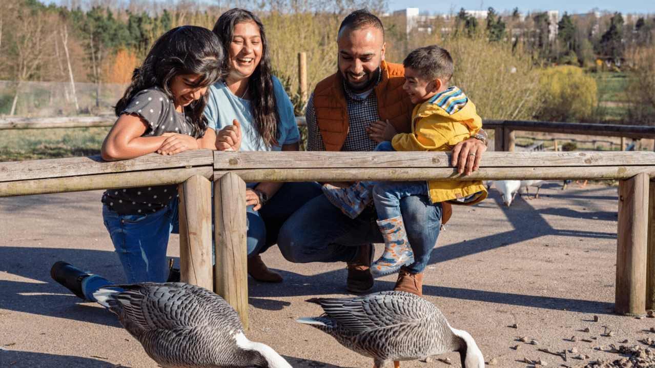 WWT Washington Wetland Centre - Featured Image - 2 WWT Washington Wetland Centre - Featured Image - 2