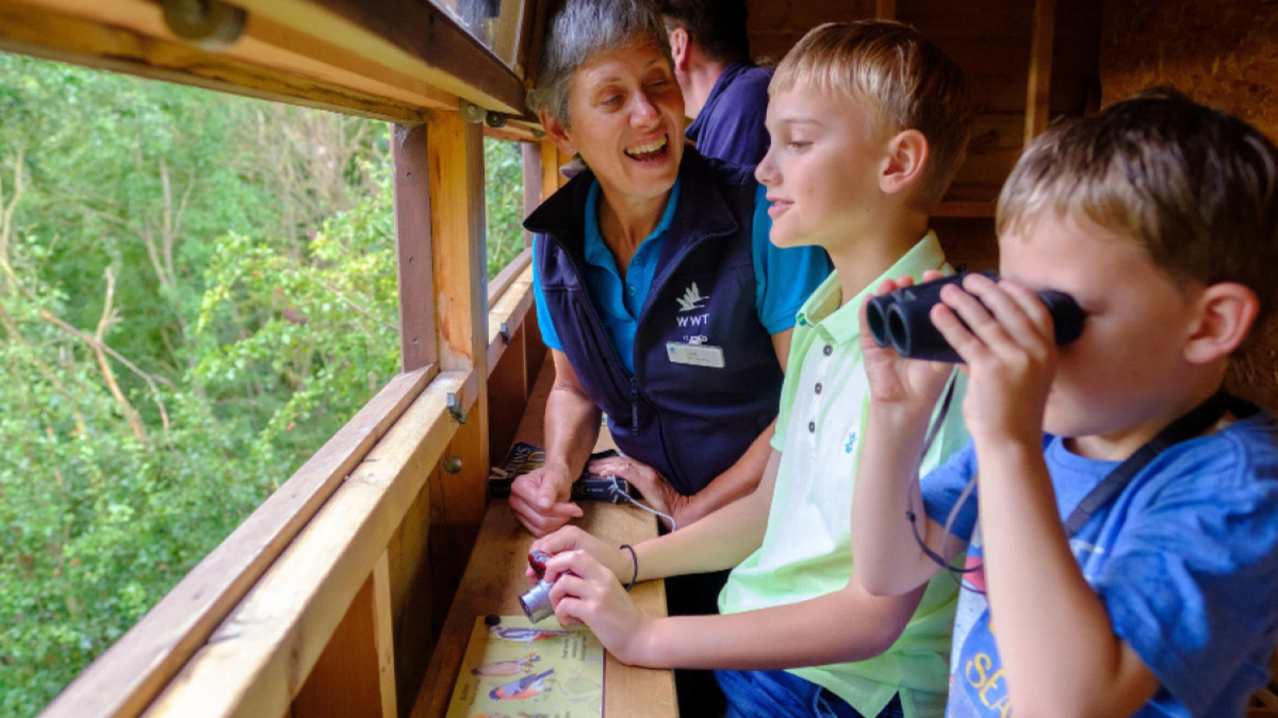 WWT Washington Wetland Centre - Featured Image - 4 WWT Washington Wetland Centre - Featured Image - 4