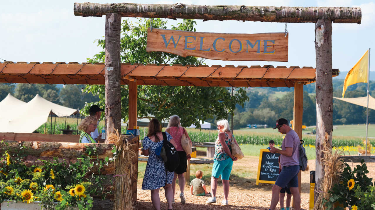 Cowdray's Maize Maze - Featured Image - 3 Cowdray's Maize Maze - Featured Image - 3