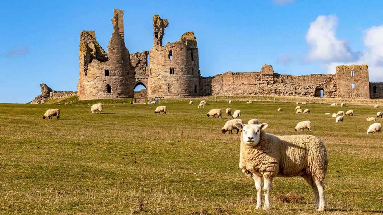 Dunstanburgh Castle - Featured Image - 3 Dunstanburgh Castle - Featured Image - 3