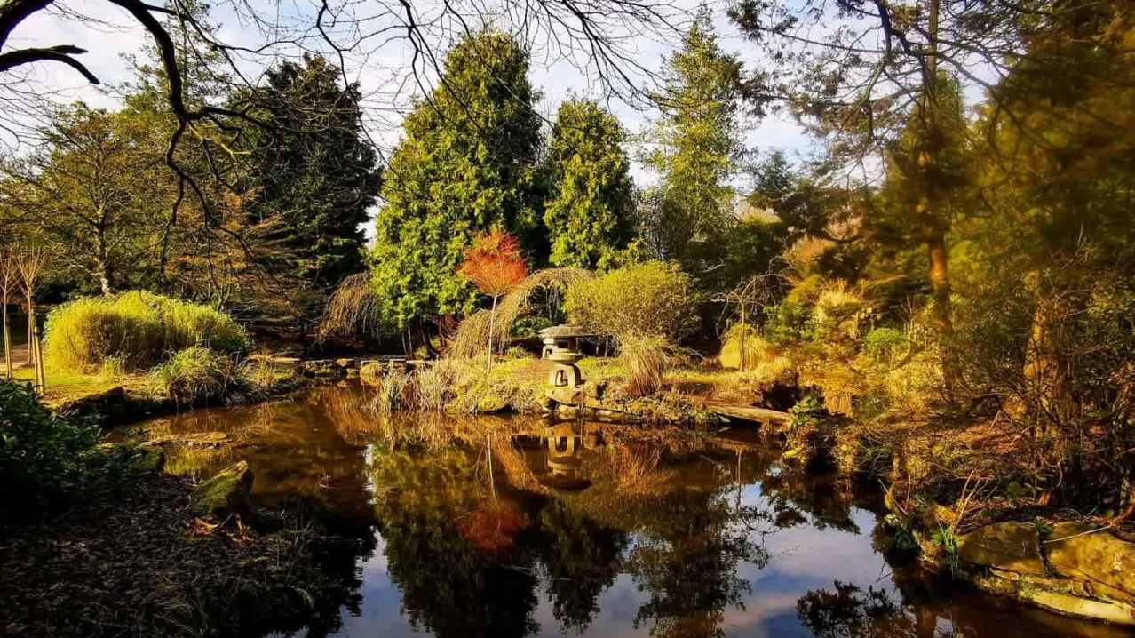 Newstead Abbey - Featured Image - 3