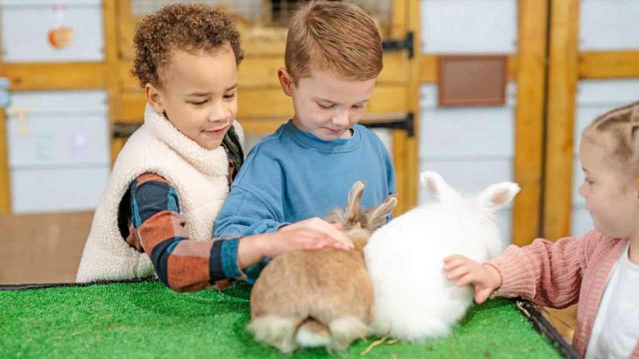 Mead Open Farm - Featured Image - 2