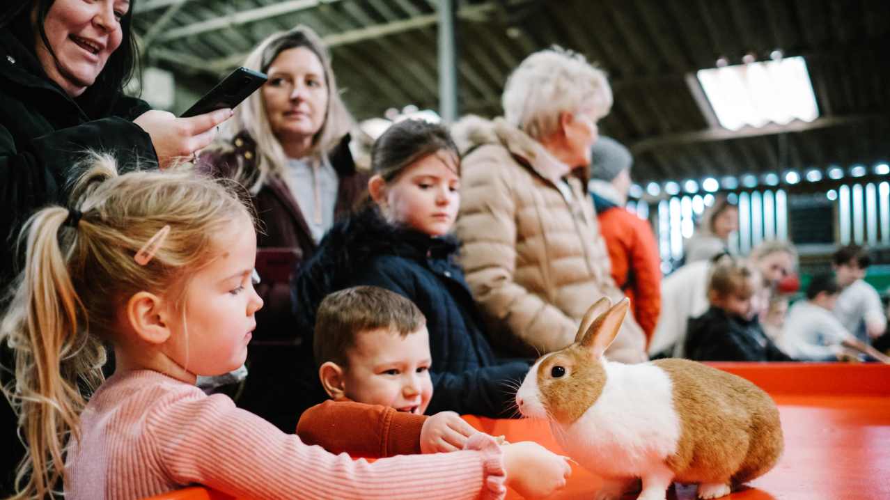 Walby Farm Park - Featured Image - 2