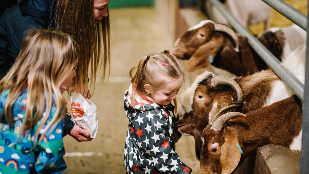 Walby Farm Park - Featured Image - 3