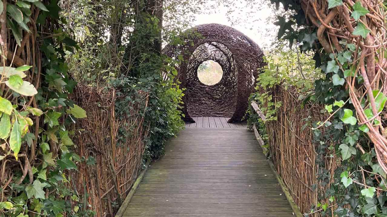 WWT Arundel Wetland Centre - Featured Image - 3 WWT Arundel Wetland Centre - Featured Image - 3