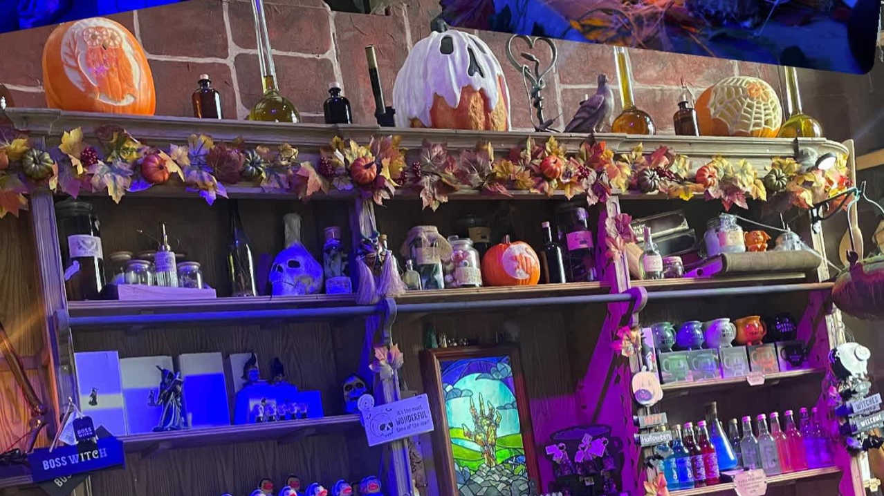 Sick To Death Chester - Featured Image - 1