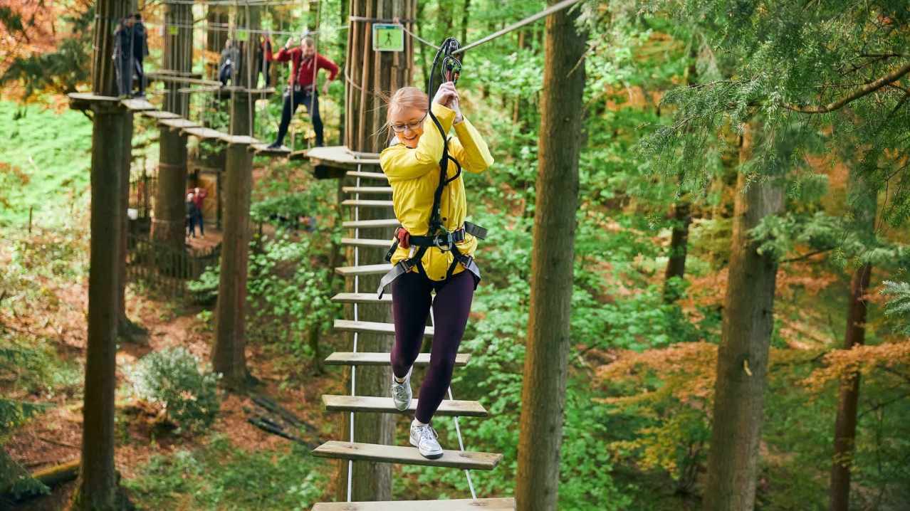 Go Ape Wyre - Featured Image - 1 Go Ape Wyre - Featured Image - 1