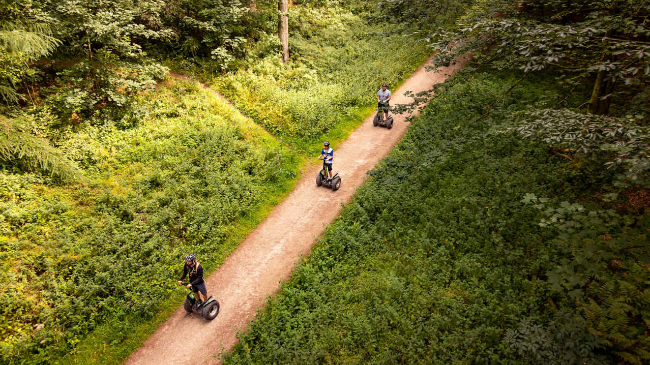 Go Ape Thetford - Featured Image - 4 Go Ape Thetford - Featured Image - 4
