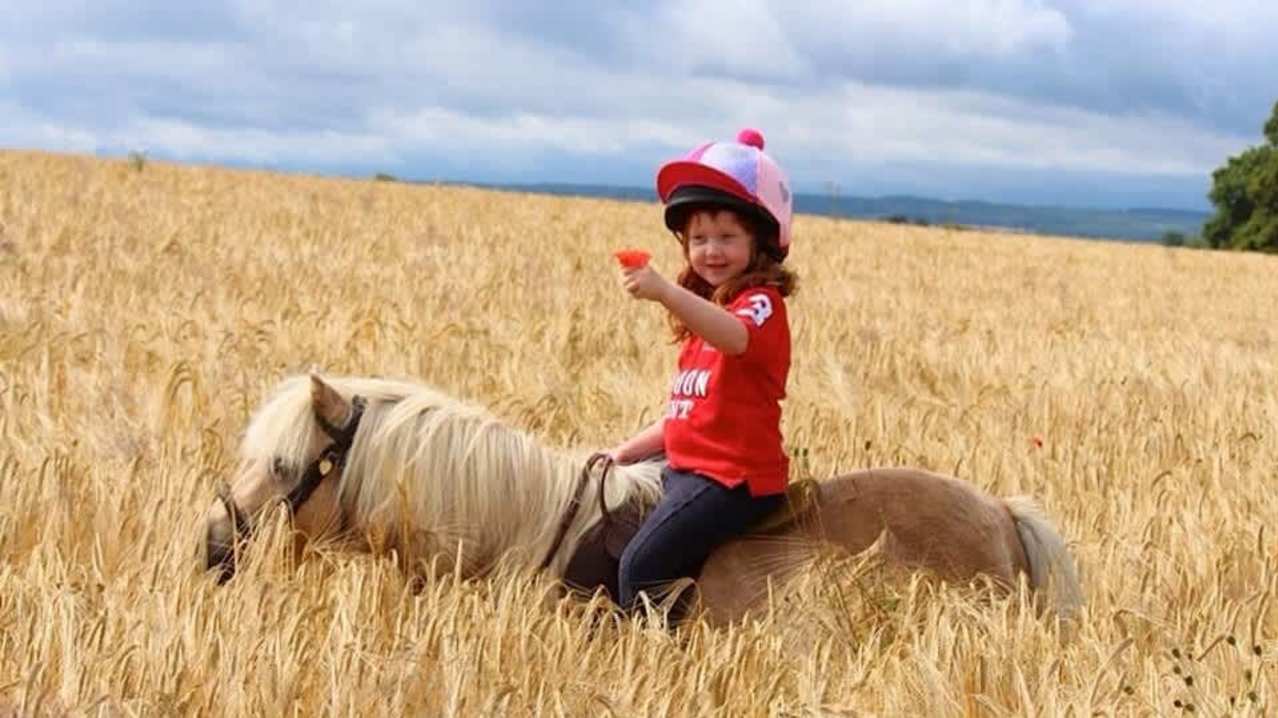 Shetland Pony Club - Featured Image - 6