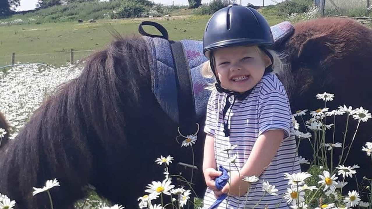Shetland Pony Club - Featured Image - 7