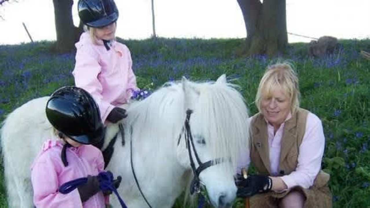 Shetland Pony Club - Featured Image - 8