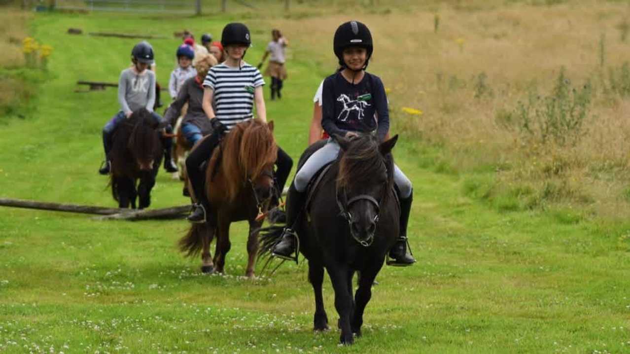 Shetland Pony Club - Featured Image - 9