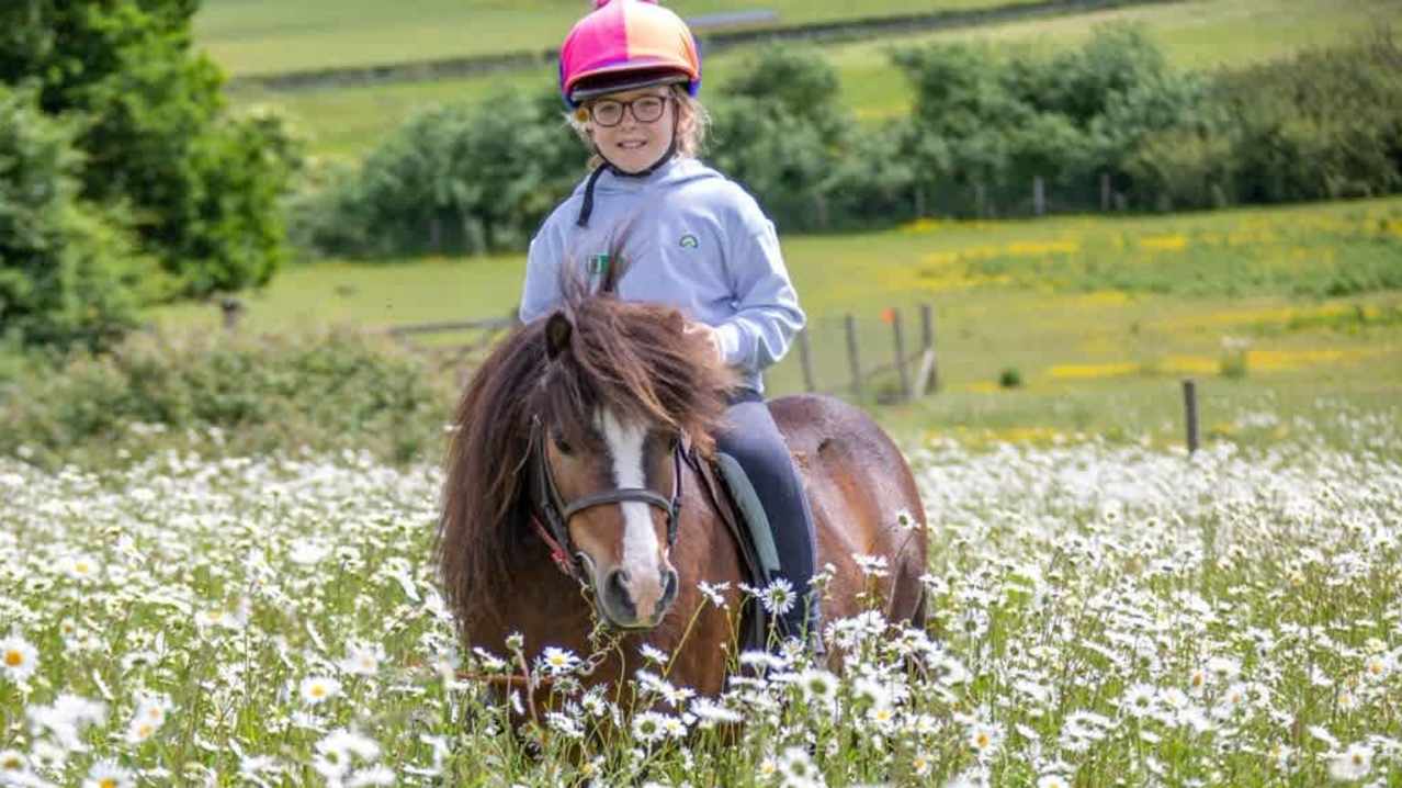 Shetland Pony Club - Featured Image - 10