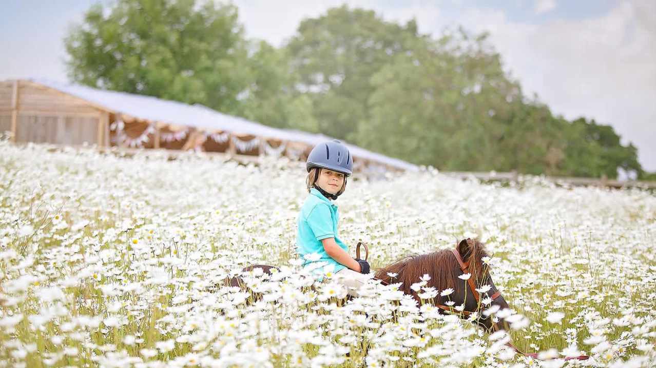 Shetland Pony Club - Featured Image - 12