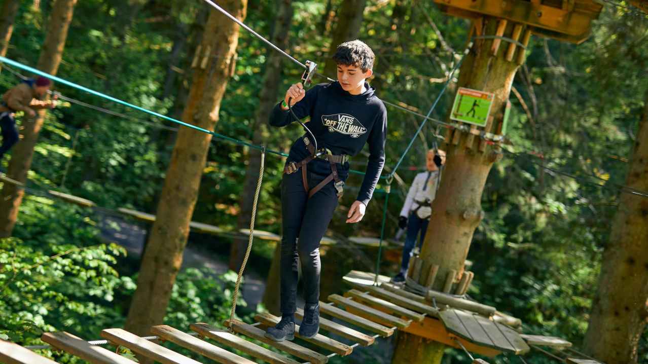 Go Ape Wyre - Featured Image - 5 Go Ape Wyre - Featured Image - 5