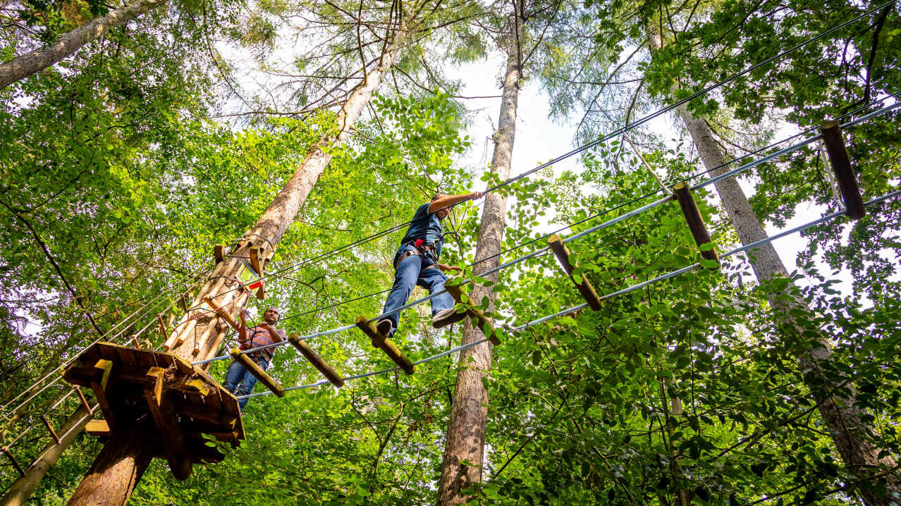 Go Ape Wyre - Featured Image - 6 Go Ape Wyre - Featured Image - 6