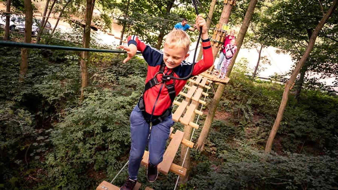 Go Ape Wyre - Featured Image - 8 Go Ape Wyre - Featured Image - 8