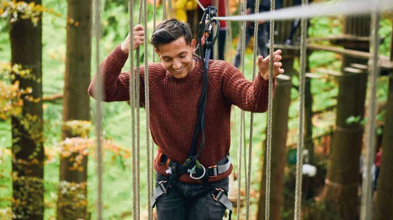 Go Ape Wyre - Featured Image - 9 Go Ape Wyre - Featured Image - 9