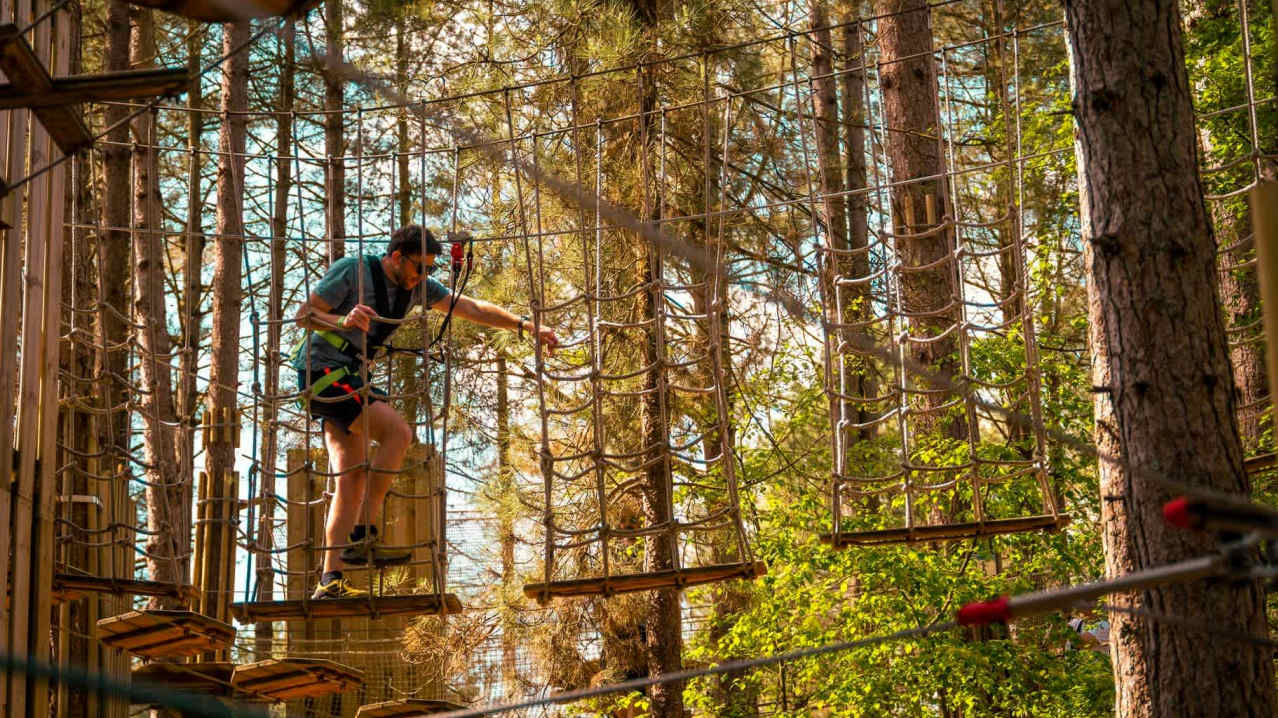 Go Ape Thetford - Featured Image - 3 Go Ape Thetford - Featured Image - 3