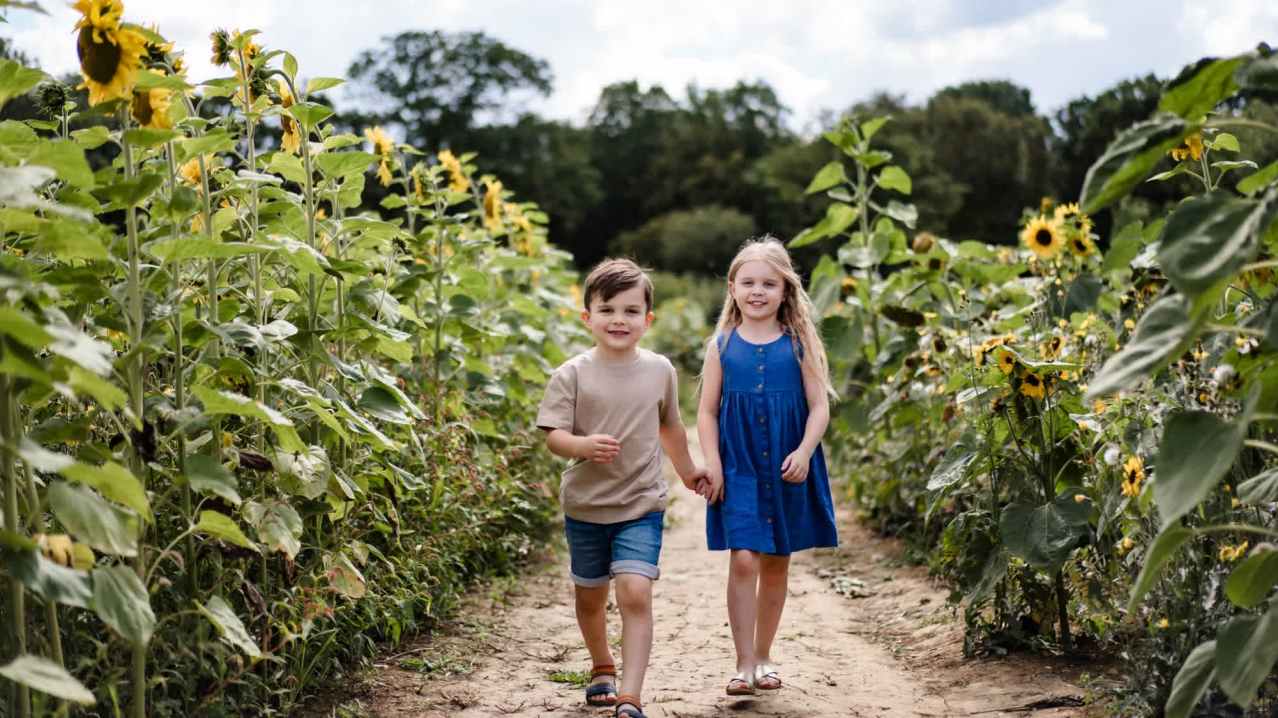 Cammas Hall Farm - Featured Image - 10 Cammas Hall Farm - Featured Image - 10