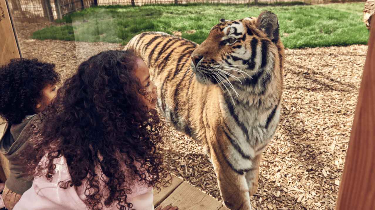 Chessington World of Adventures Resort - Featured Image - 10 Chessington World of Adventures Resort - Featured Image - 10