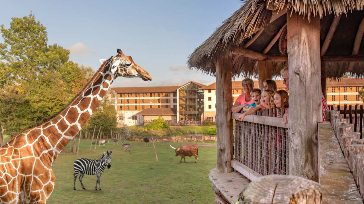 Chessington World of Adventures Resort - Featured Image - 12 Chessington World of Adventures Resort - Featured Image - 12