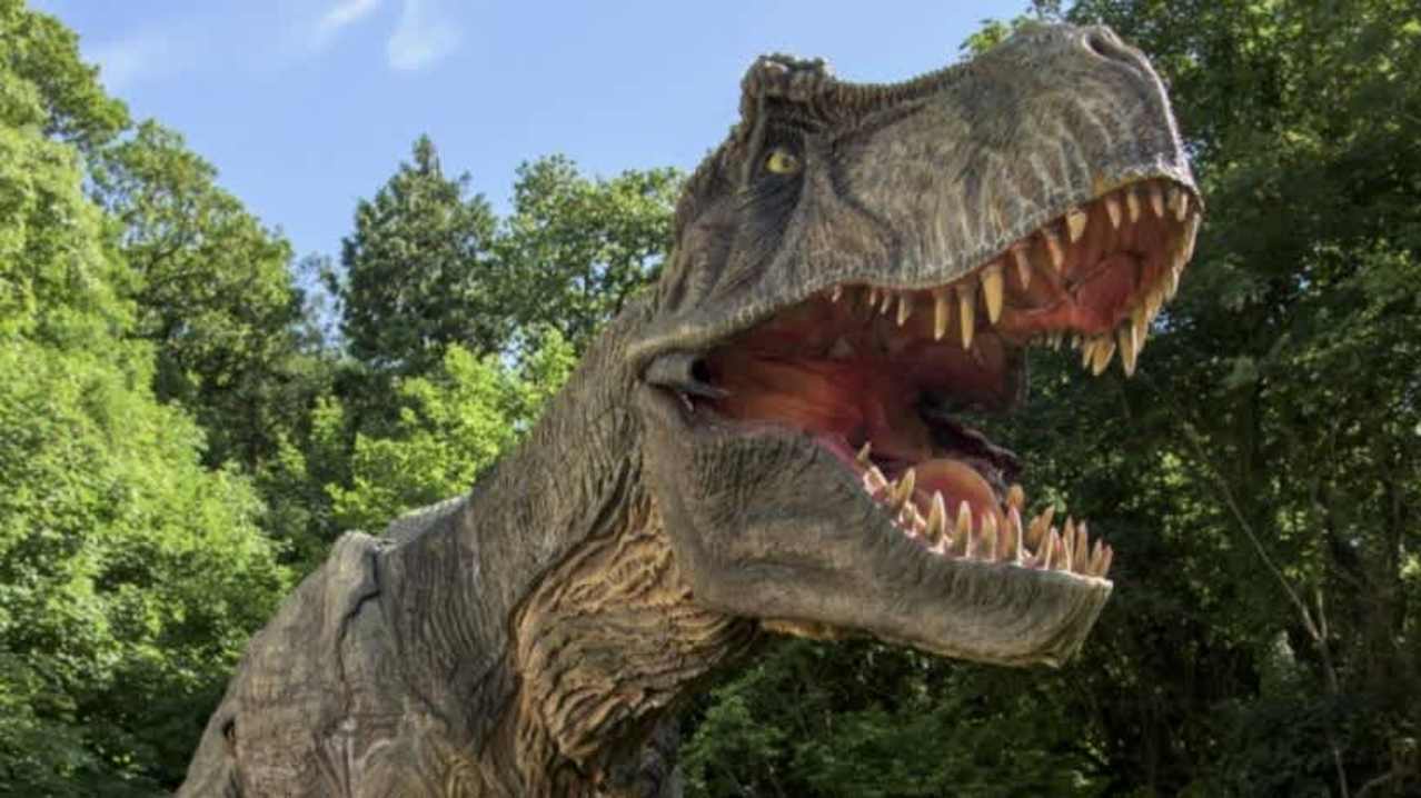 Combe Martin Wildlife & Dinosaur Park - Featured Image - 1
